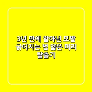 3년 만에 알아낸 모발 굵어지는 법: 얇은 머리 탈출기