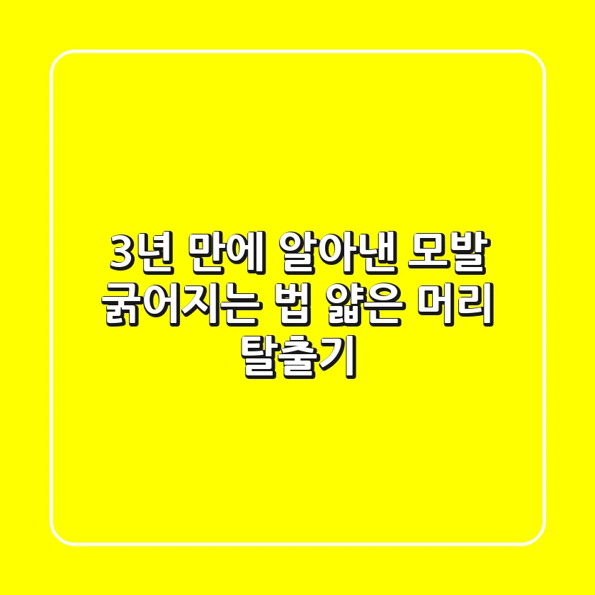 3년 만에 알아낸 모발 굵어지는 법: 얇은 머리 탈출기