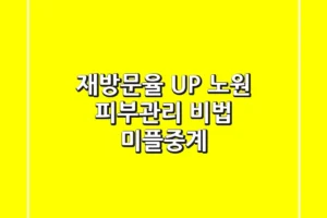 재방문율 UP! 노원 피부관리 비법, 미플중계