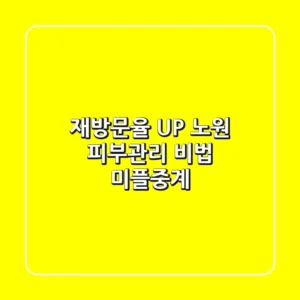 재방문율 UP! 노원 피부관리 비법, 미플중계