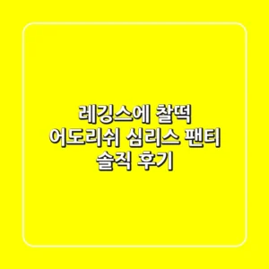 레깅스에 찰떡! 어도리쉬 심리스 팬티 솔직 후기✨