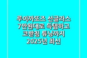 루이까또즈 선글라스: 7만원대로 득템하고 코받침 튜닝까지! [2025년 최신]