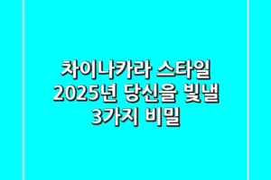차이나카라 스타일, 2025년 당신을 빛낼 3가지 비밀✨