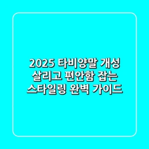2025 타비양말: 개성 살리고 편안함 잡는 스타일링 완벽 가이드
