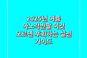 2025년 여름, 아노락반팔: ‘이것’ 모르면 후회하는 실전 가이드