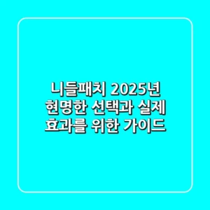 니들패치, 2025년 현명한 선택과 실제 효과를 위한 가이드