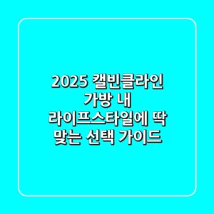 2025 캘빈클라인 가방, 내 라이프스타일에 딱 맞는 선택 가이드