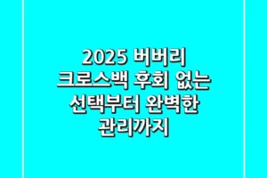 2025 버버리 크로스백: 후회 없는 선택부터 완벽한 관리까지