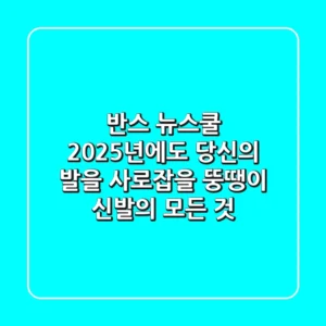 반스 뉴스쿨: 2025년에도 당신의 발을 사로잡을 '뚱땡이 신발'의 모든 것