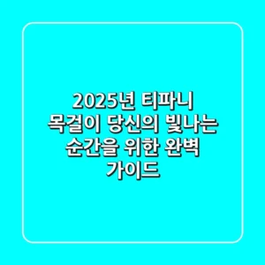 2025년 티파니 목걸이, 당신의 빛나는 순간을 위한 완벽 가이드