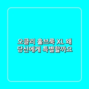 오클리 홀브룩 XL, 왜 당신에게 특별할까요?