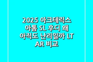 2025 아크테릭스 아톰 SL 후디: 왜 아직도 난리일까? (LT, AR 비교)