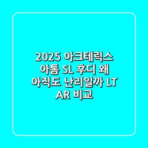 2025 아크테릭스 아톰 SL 후디: 왜 아직도 난리일까? (LT, AR 비교)