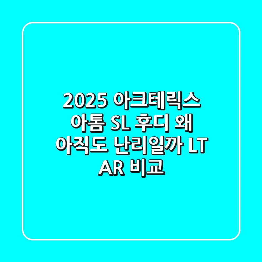 2025 아크테릭스 아톰 SL 후디: 왜 아직도 난리일까? (LT, AR 비교)
