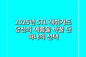 2025년 STL 래쉬가드, 당신의 여름을 바꿀 단 하나의 선택