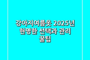강아지여름옷, 2025년 현명한 선택과 관리 꿀팁