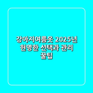 강아지여름옷, 2025년 현명한 선택과 관리 꿀팁