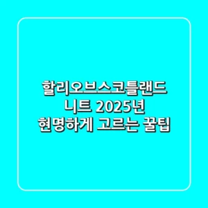 할리오브스코틀랜드 니트, 2025년 현명하게 고르는 꿀팁!