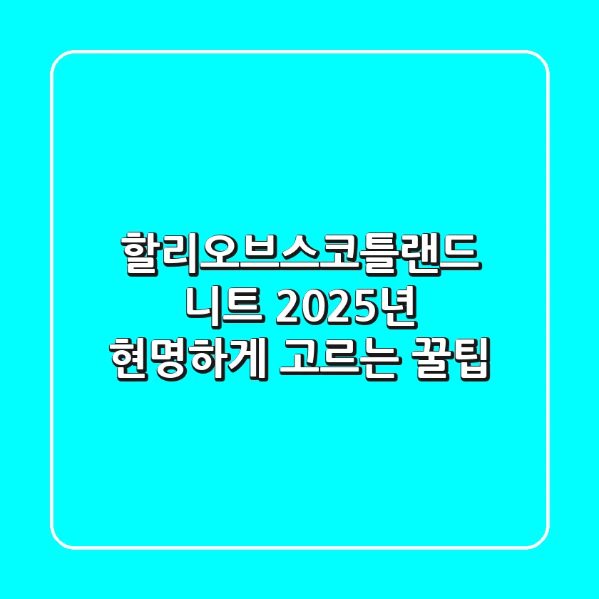 할리오브스코틀랜드 니트, 2025년 현명하게 고르는 꿀팁!