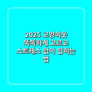 2025 고양이옷, 똑똑하게 고르고 스트레스 없이 입히는 법