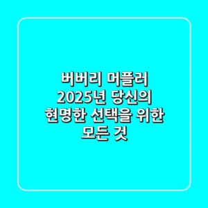 버버리 머플러, 2025년 당신의 현명한 선택을 위한 모든 것