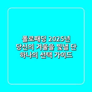 폴로패딩, 2025년 당신의 겨울을 빛낼 단 하나의 선택 가이드