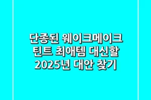 단종된 웨이크메이크 틴트, 최애템 대신할 2025년 대안 찾기