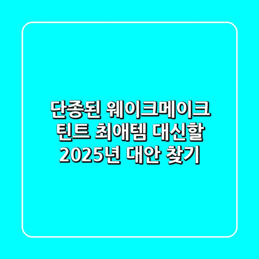 단종된 웨이크메이크 틴트, 최애템 대신할 2025년 대안 찾기