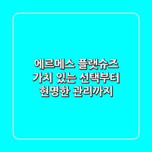 에르메스 플랫슈즈: 가치 있는 선택부터 현명한 관리까지