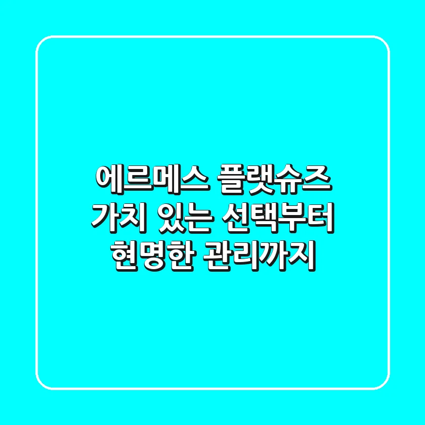에르메스 플랫슈즈: 가치 있는 선택부터 현명한 관리까지