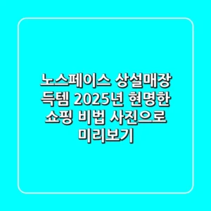 노스페이스 상설매장 득템! 2025년 현명한 쇼핑 비법 (사진으로 미리보기)