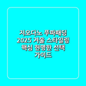지오다노 푸파패딩, 2025 겨울 스타일링 핵심! 현명한 선택 가이드