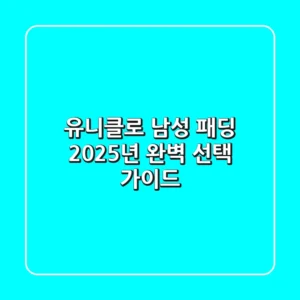 유니클로 남성 패딩: 2025년 완벽 선택 가이드