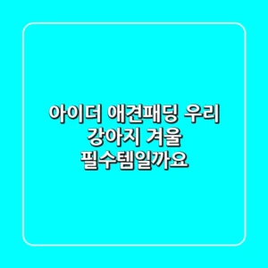 아이더 애견패딩, 우리 강아지 겨울 필수템일까요?