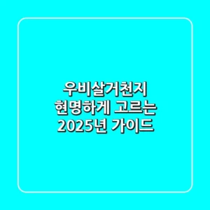 우비살거천지, 현명하게 고르는 2025년 가이드