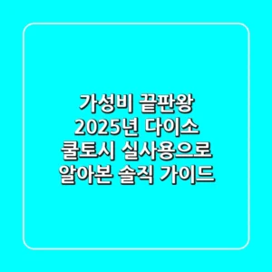 가성비 끝판왕? 2025년 다이소 쿨토시, 실사용으로 알아본 솔직 가이드