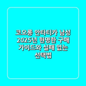 코오롱 안타티카 남성, 2025년 현명한 구매 가이드와 실패 없는 선택법