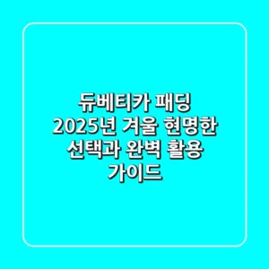 듀베티카 패딩, 2025년 겨울 현명한 선택과 완벽 활용 가이드