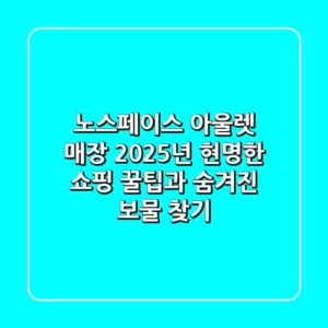 노스페이스 아울렛 매장, 2025년 현명한 쇼핑 꿀팁과 숨겨진 보물 찾기