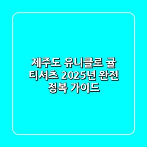 제주도 유니클로 귤 티셔츠, 2025년 완전 정복 가이드