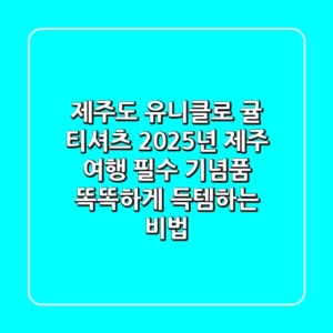 제주도 유니클로 귤 티셔츠: 2025년 제주 여행 필수 기념품, 똑똑하게 득템하는 비법!