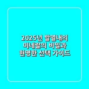 2025년, 발열내의 미네랄의 비밀과 현명한 선택 가이드