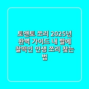토앤토 쪼리 2025년 완벽 가이드: 내 발에 찰떡인 인생 쪼리 찾는 법