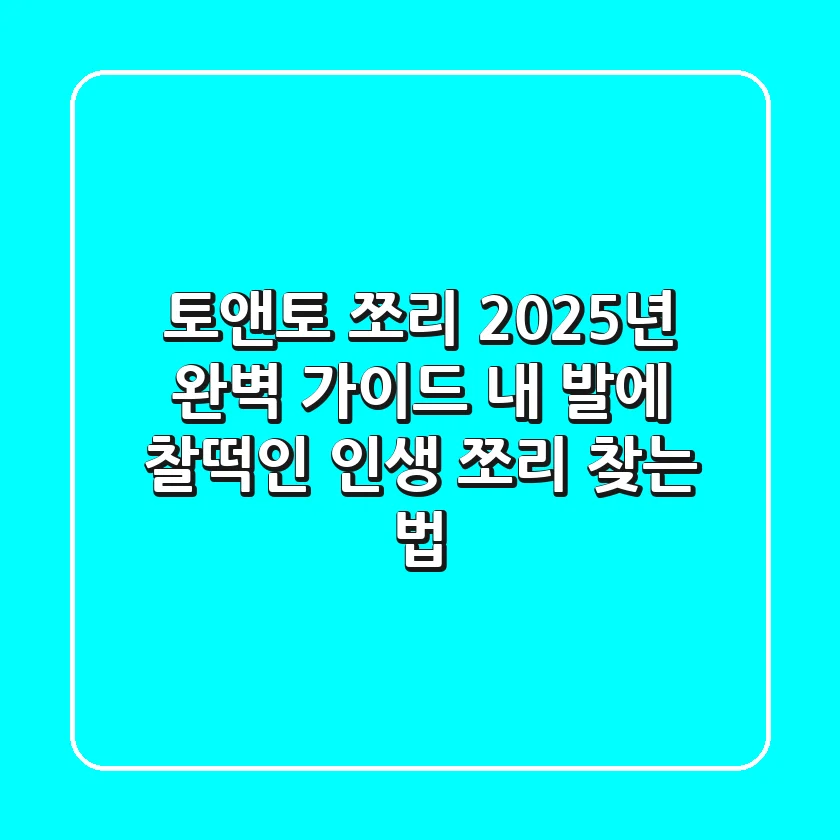 토앤토 쪼리 2025년 완벽 가이드: 내 발에 찰떡인 인생 쪼리 찾는 법