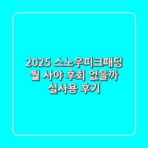 2025 스노우피크패딩, 뭘 사야 후회 없을까? (실사용 후기)