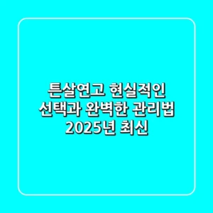 튼살연고, 현실적인 선택과 완벽한 관리법 (2025년 최신)