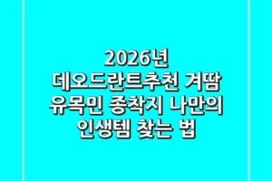 2026년 데오드란트추천: 겨땀 유목민 종착지, 나만의 인생템 찾는 법 🔥