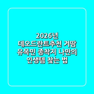 2026년 데오드란트추천: 겨땀 유목민 종착지, 나만의 인생템 찾는 법 🔥